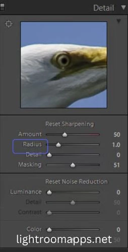 Radius