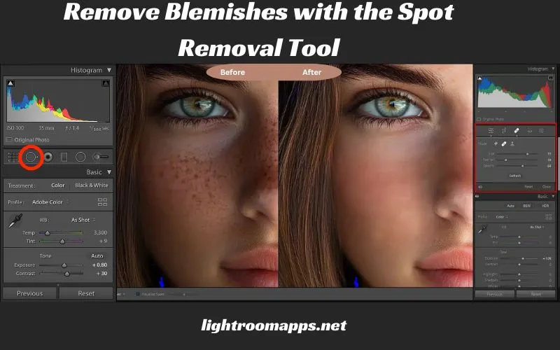 Remove Blemishes with the Spot Removal Tool