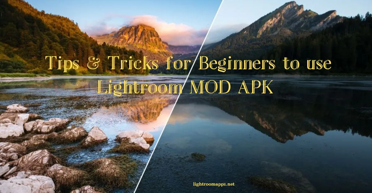Tips to use Lightroom for Beginners