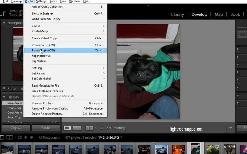 Image Rotation by 90 Degrees
