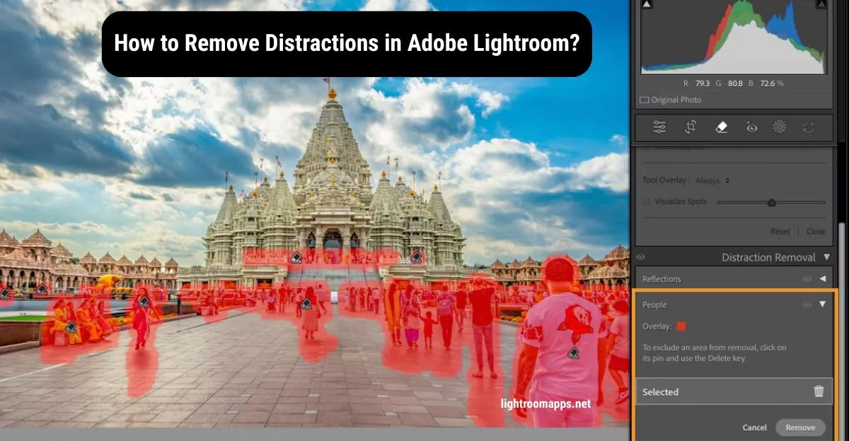 Distraction Removal in Lightroom